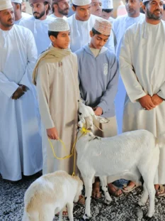Alpine Goats Farms Trading Services Alpine Goats Farms Trading Services