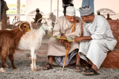 Alpine Goats Farms Trading Services Alpine Goats Farms Trading Services