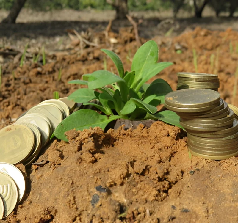 Government Schemes & Subsidies for Goat Farming in India: A Complete Guide for 2025