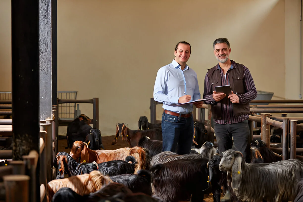 Alpine Goats Farms